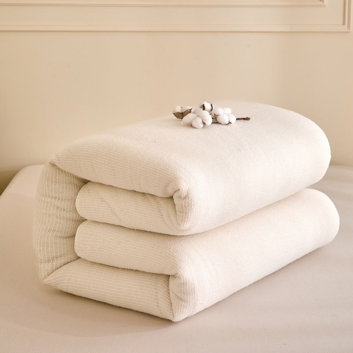 91家纺网 家纺一手货源 找家纺 （总）好宜家纺 2025新款新疆棉花被芯被子冬被春秋被棉花床垫褥子垫学生宿舍鱼鳞网纱棉胎被褥子 【批发团购价更优】【免费提供快递袋】【量大免费送货上门】