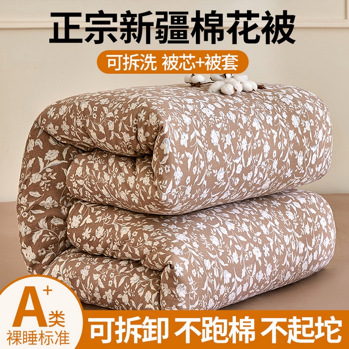 好宜家纺 2025新款可拆洗新疆棉花被冬被春秋被夏凉被家用学生宿舍被子空调被芯四季通用 【批发团购价更优】【免费打包代发】【量大免费送货上门】 黛米-香槟咖