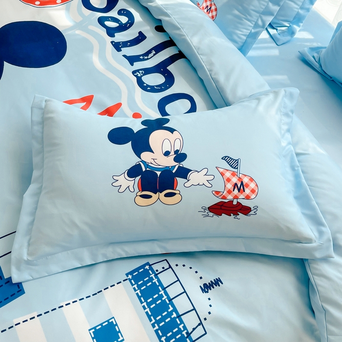 宝薇 2025卡通款加厚生态磨毛四季款枕套学生款宿舍款枕头套单枕套单品枕套单件枕套 帆船