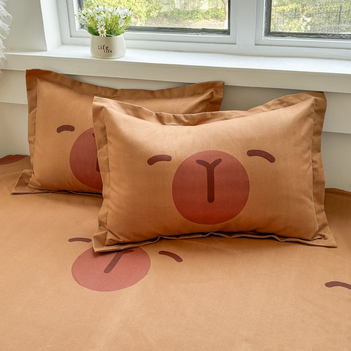 宝薇 2025卡通款加厚生态磨毛四季款枕套学生款宿舍款枕头套单枕套单品枕套单件枕套 喀皮吧啦