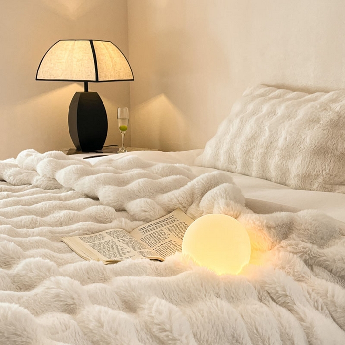 91家纺网 家纺一手货源 找家纺 （总）蓝极人 2024新款高克重大牛奶绒被套毯毛毯