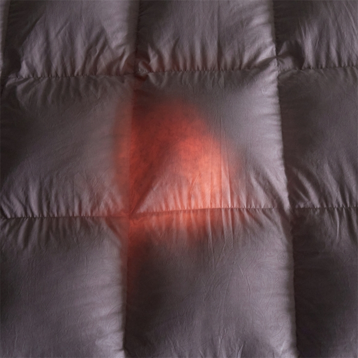 91家纺网 家纺一手货源 找家纺 四川牛皮席 2025新款德芙柔羽绒被 被子被芯 紫罗兰