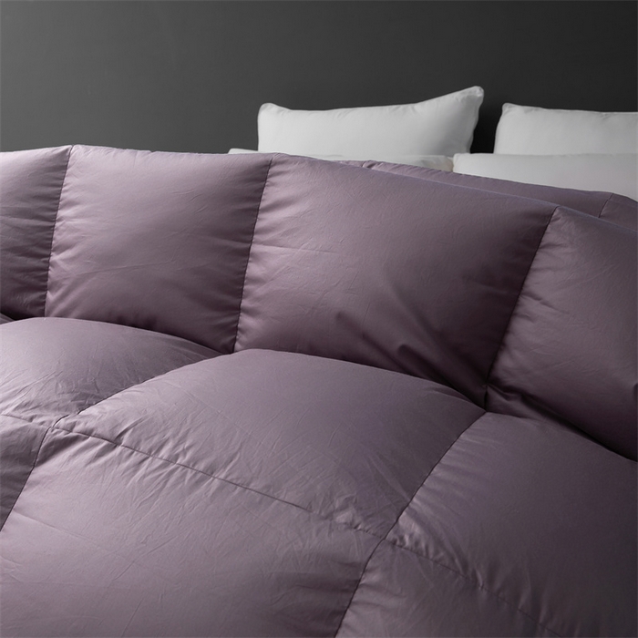 91家纺网 家纺一手货源 找家纺 四川牛皮席 2025新款180支全棉纯棉羽绒被 被子被芯 米兰-紫色