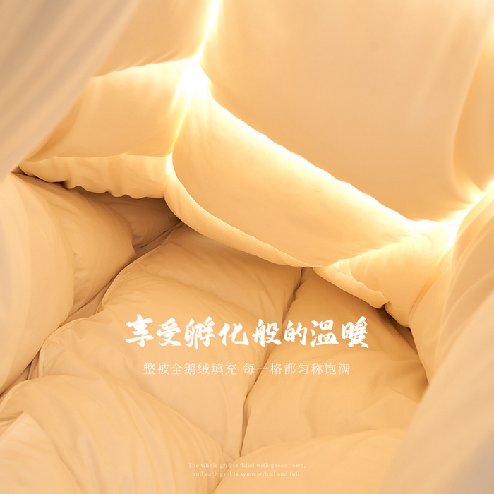 91家纺网 家纺一手货源 找家纺 （总）岚司羽 2025新款小糯米白鹅绒羽绒被被子被芯