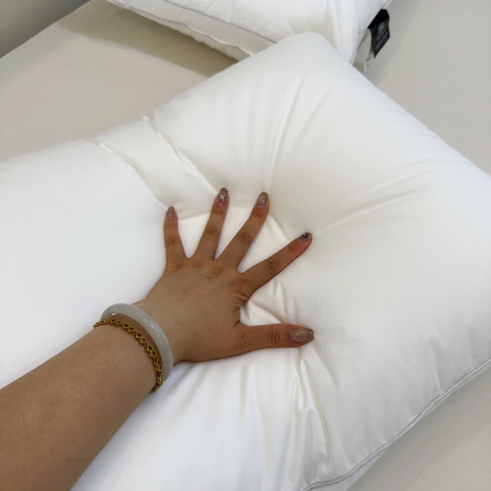 91家纺网 家纺一手货源 找家纺 （总）华盛羽绒被壳2025新款俄罗斯羽绒枕助眠酒店枕羽毛枕芯