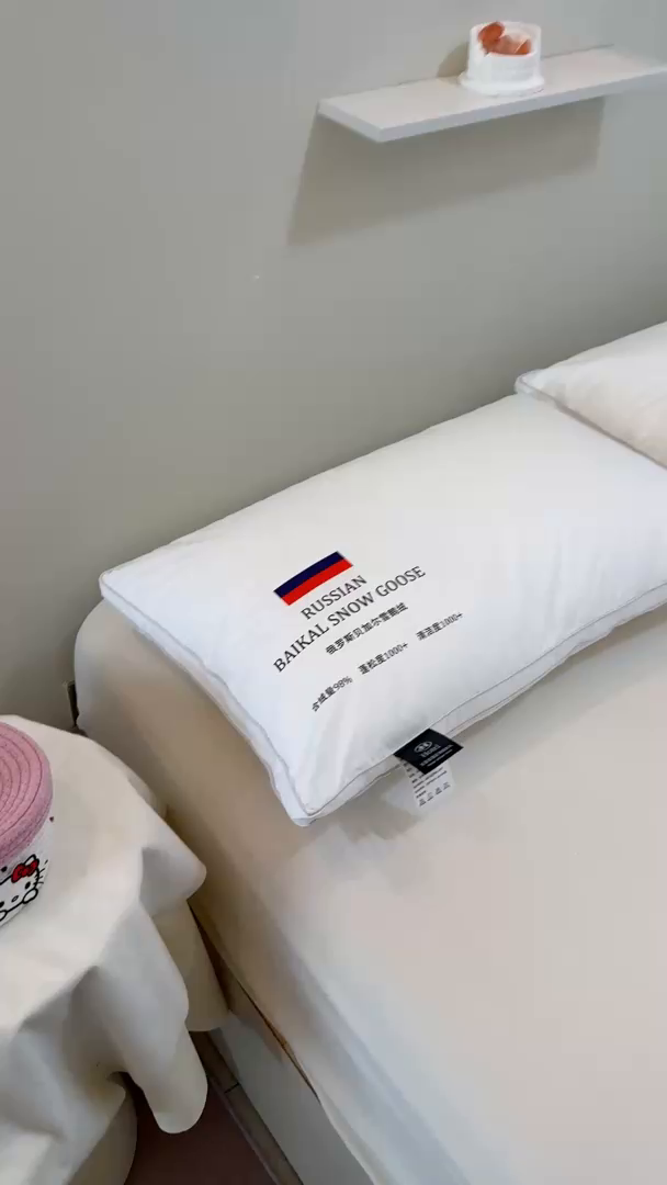 91家纺网 家纺一手货源 找家纺 （总）华盛羽绒被壳2025新款俄罗斯羽绒枕助眠酒店枕羽毛枕芯