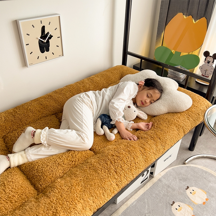 91家纺网 家纺一手货源 找家纺 （总）缦纱 2025新款保暖羊羔绒暖冬床垫学生季宿舍床垫-学生床垫