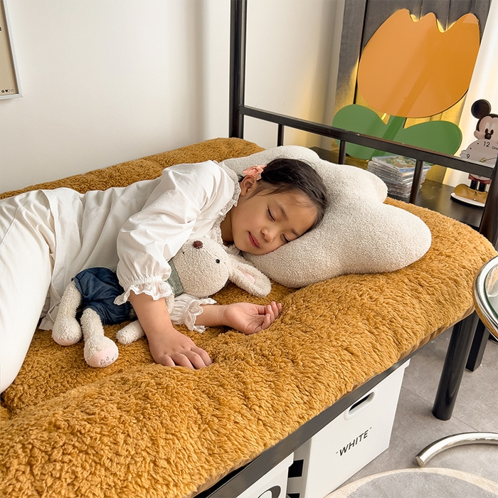 91家纺网 家纺一手货源 找家纺 缦纱 2025新款保暖羊羔绒暖冬床垫学生季宿舍床垫-学生床垫 咖啡色