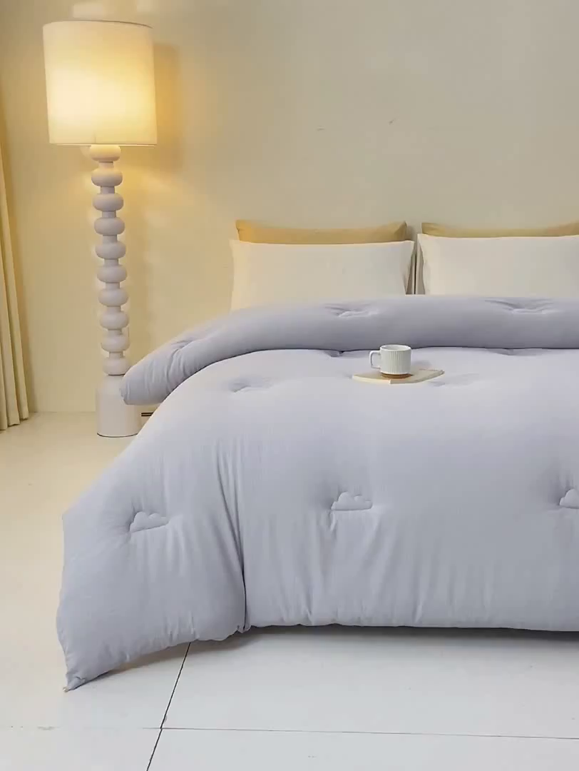 91家纺网 家纺一手货源 找家纺 风蝴蝶 2025新款云感大豆被双拼春秋被直播冬被外贸跨境被芯学生宿舍被子被芯 云岩灰