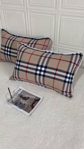 91家纺网 家纺一手货源 找家纺 卡奥家纺 2025新款A类纯棉色织枕套单枕套枕套单件 宝利小格