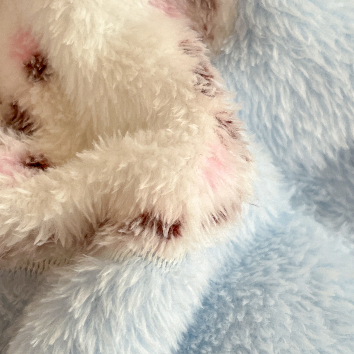 91家纺网 家纺一手货源 找家纺 川悦生活 2025新款立体雪花绒印花四件套学生床系列二场景二 奶蓝小汪蓝