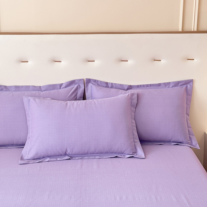 91家纺网 家纺一手货源 找家纺 铭浩 2025新款纯棉棉加厚磨毛升级喷气面料全棉四件套三件套 简纯-雪青