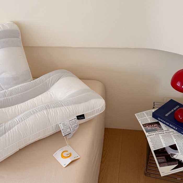 91家纺网 家纺一手货源 找家纺 （总）伟邦枕芯 2025新款曲线酒店决明子荞麦两用枕