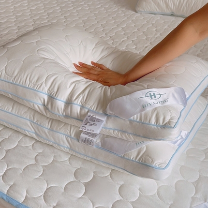 91家纺网 家纺一手货源 找家纺 （总）兜米家居 2025新款可机洗双面绗缝立体防螨云朵枕芯枕头