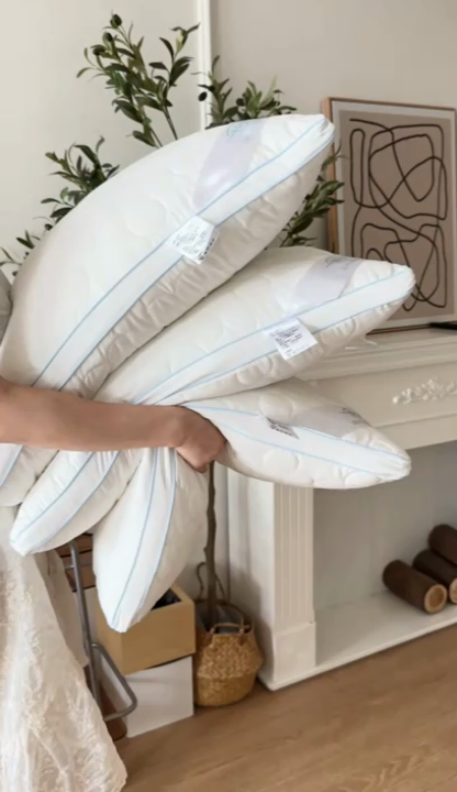 91家纺网 家纺一手货源 找家纺 （总）兜米家居 2025新款可机洗双面绗缝立体防螨云朵枕芯枕头