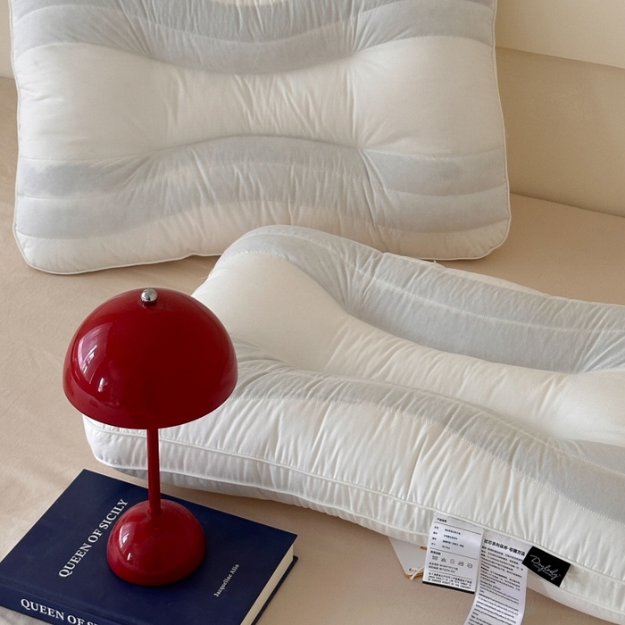 91家纺网 家纺一手货源 找家纺 （总）伟邦枕芯 2025新款曲线酒店决明子荞麦两用枕