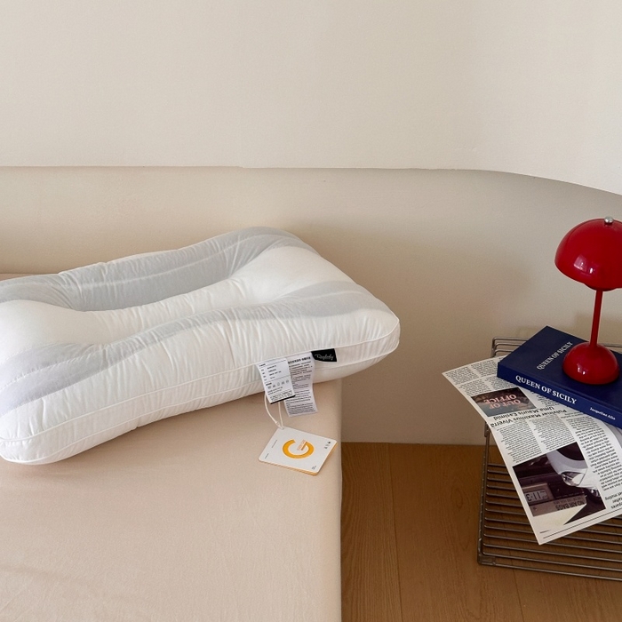 91家纺网 家纺一手货源 找家纺 （总）伟邦枕芯 2025新款曲线酒店决明子荞麦两用枕