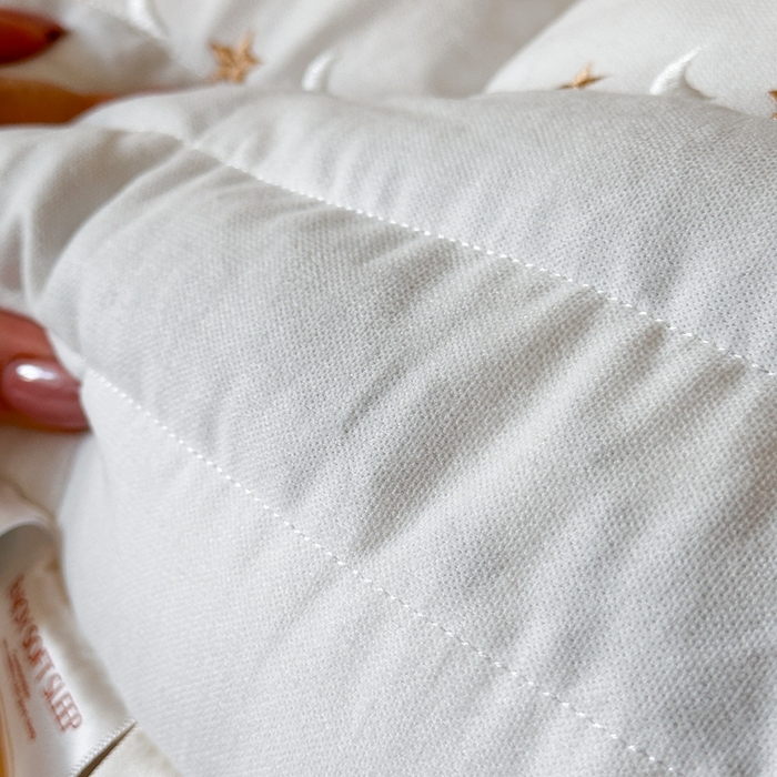 91家纺网 家纺一手货源 找家纺 （总）伟邦枕芯 2025新款蚕丝蛋白决明子枕