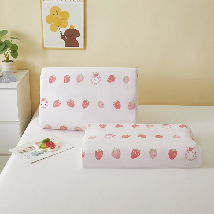 翎盈家纺 2025款ins风小清新卡通多规格纯棉乳胶枕专用枕套全棉枕头套 草莓兔兔