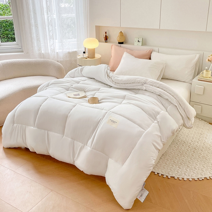 91家纺网 家纺一手货源 找家纺 VIP被业 2025新款磨毛二合一扣子款四季子母被学生冬被被子被芯 白色