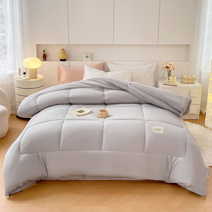 VIP被业 2025新款磨毛二合一扣子款四季子母被学生冬被被子被芯 灰色