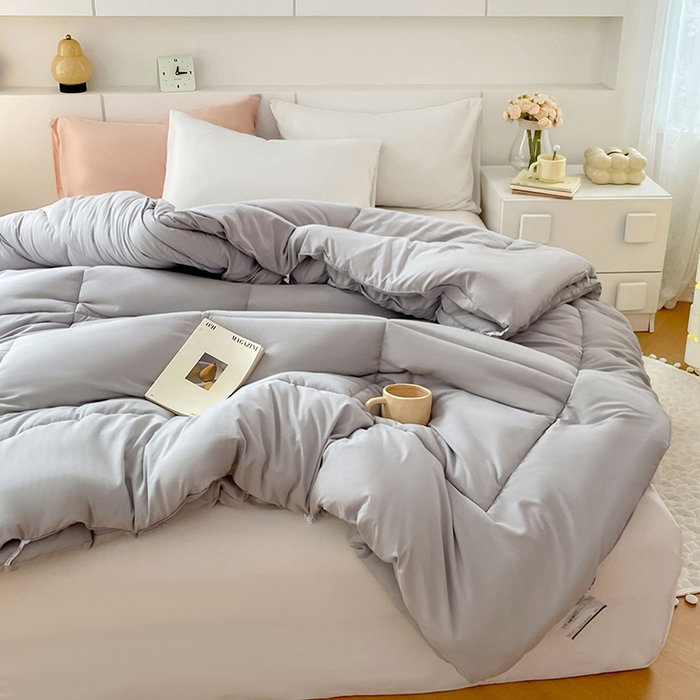 91家纺网 家纺一手货源 找家纺 VIP被业 2025新款磨毛二合一扣子款四季子母被学生冬被被子被芯 灰色