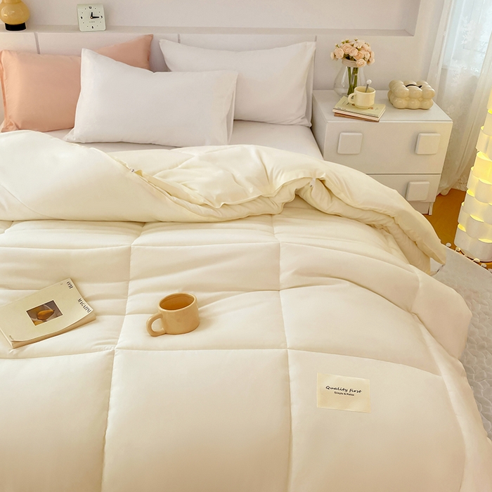 91家纺网 家纺一手货源 找家纺 VIP被业 2025新款磨毛二合一扣子款四季子母被学生冬被被子被芯 米色