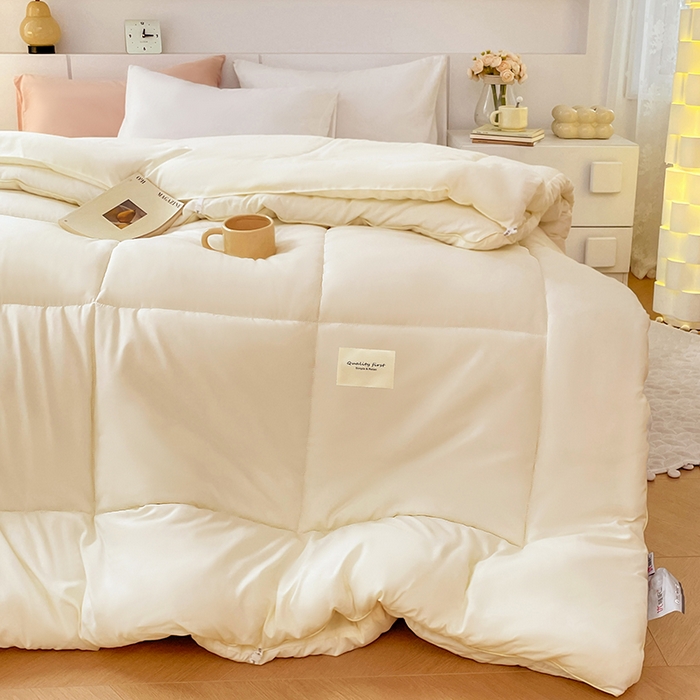 91家纺网 家纺一手货源 找家纺 VIP被业 2025新款磨毛二合一扣子款四季子母被学生冬被被子被芯 米色