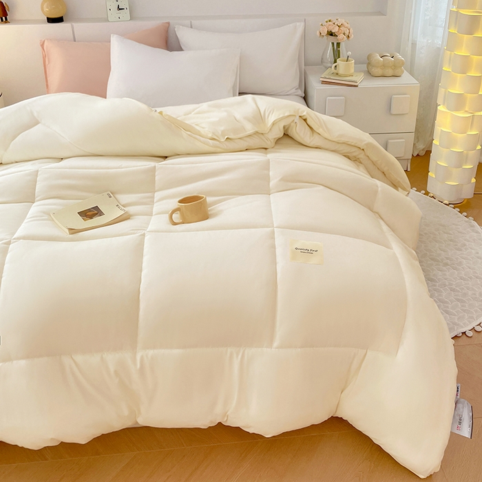 91家纺网 家纺一手货源 找家纺 VIP被业 2025新款磨毛二合一扣子款四季子母被学生冬被被子被芯 米色