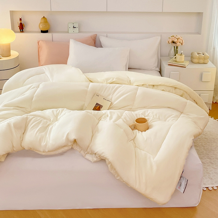 91家纺网 家纺一手货源 找家纺 VIP被业 2025新款磨毛二合一扣子款四季子母被学生冬被被子被芯 米色