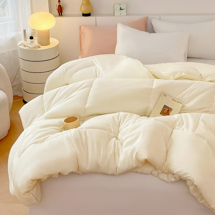 91家纺网 家纺一手货源 找家纺 VIP被业 2025新款磨毛二合一扣子款四季子母被学生冬被被子被芯 米色