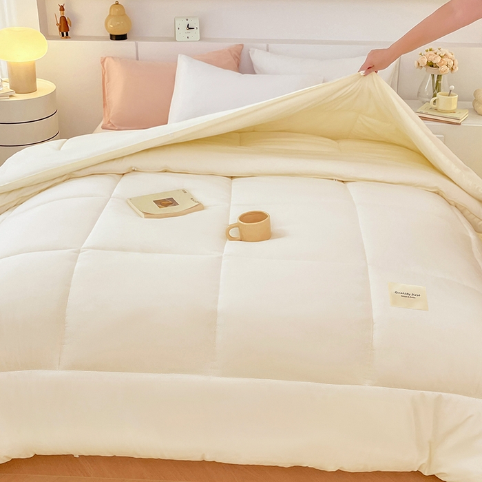 91家纺网 家纺一手货源 找家纺 VIP被业 2025新款磨毛二合一扣子款四季子母被学生冬被被子被芯 米色