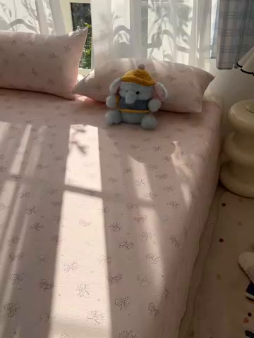 91家纺网 家纺一手货源 找家纺 韩巢家纺 2025新款双层纱儿童卡通风床单寝室单人学生宿舍单床单床单单件单品床单 心愿