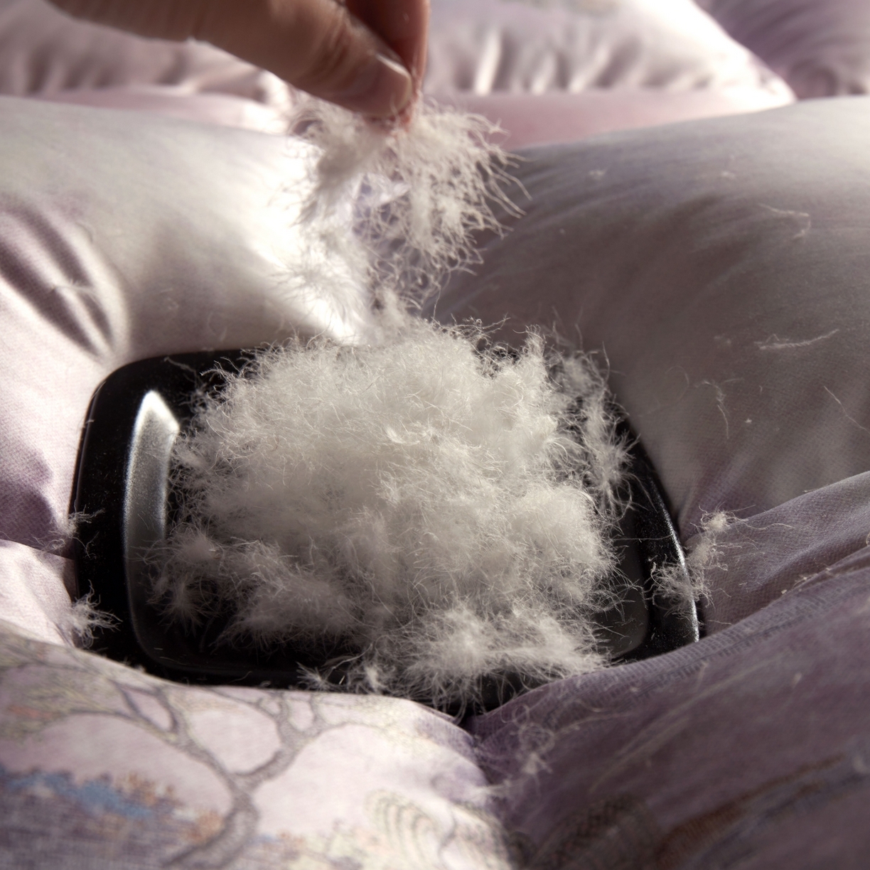 91家纺网 家纺一手货源 找家纺 织梦人羽绒工厂店2025新款羽绒被壳 莫代尔印花-忆江南紫