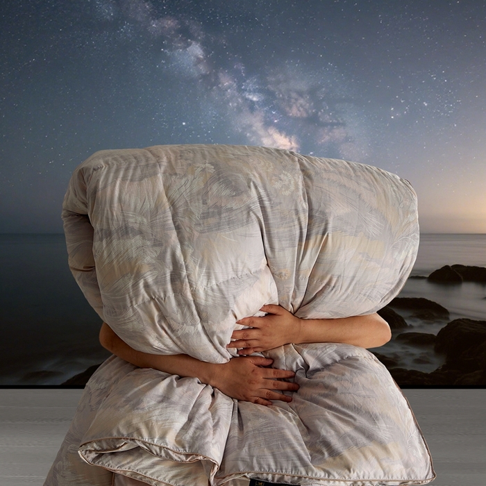 91家纺网 家纺一手货源 找家纺 织梦人羽绒工厂店 2025新款高蓬松羽绒被85鸭绒大牌同款花型 观沧海粉