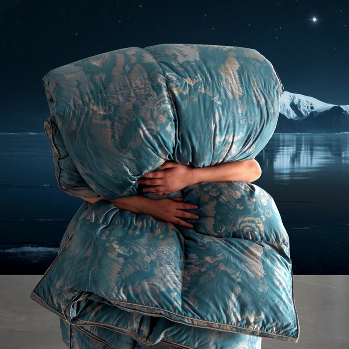 91家纺网 家纺一手货源 找家纺 织梦人羽绒工厂店 2025新款高蓬松羽绒被85鸭绒大牌同款花型 观沧海金