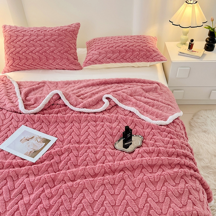 91家纺网 家纺一手货源 找家纺 （总）锦润家纺 2025新款A类双面塔芙绒包边毛毯