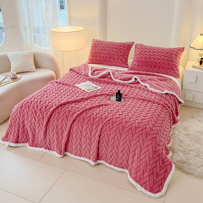 91家纺网 家纺一手货源 找家纺 （总）锦润家纺 2025新款A类双面塔芙绒包边毛毯