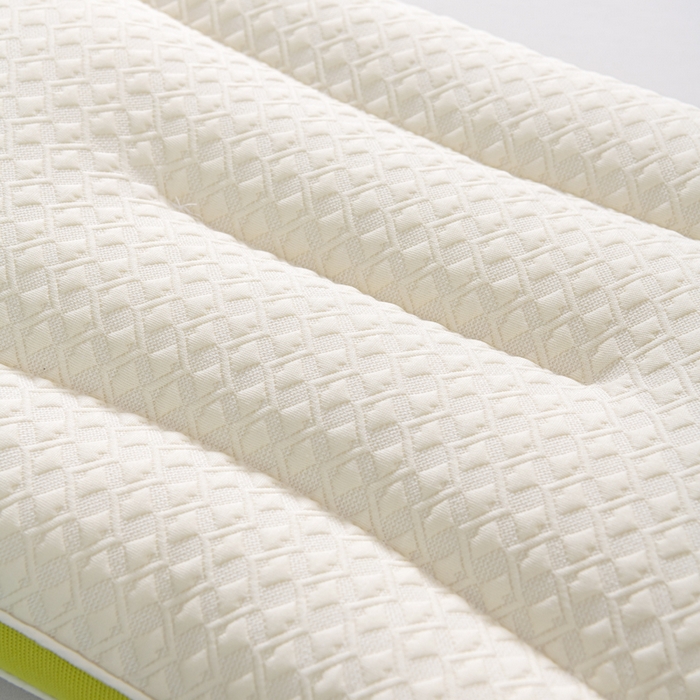 91家纺网 家纺一手货源 找家纺 （总）仁宇枕业 2025新款A类针织棉小恐龙幼儿园学生儿童成人枕头枕芯