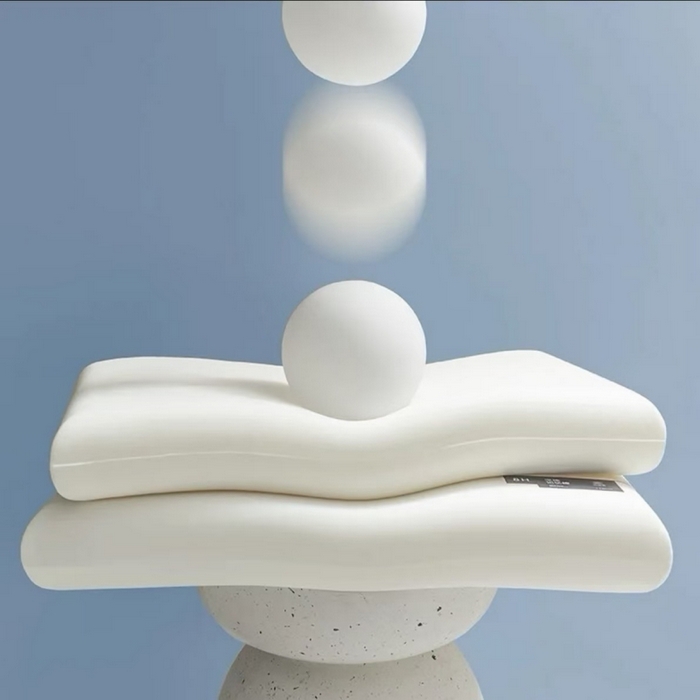 91家纺网 家纺一手货源 找家纺 诺可 2025新款酒店同款记忆枕枕头枕芯 高度10cm