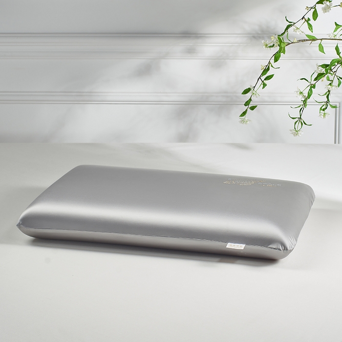 91家纺网 家纺一手货源 找家纺 诺可 2025新款凉感记忆枕可拆洗夏凉枕头枕芯 灰