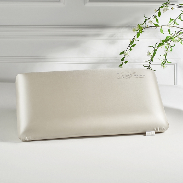 诺可 2025新款凉感记忆枕可拆洗夏凉枕头枕芯 香槟