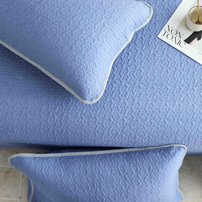 91家纺网 家纺一手货源 找家纺 春皖家纺 2025新款全棉纯棉多功能单枕套 枕套单件 艾迪-蓝