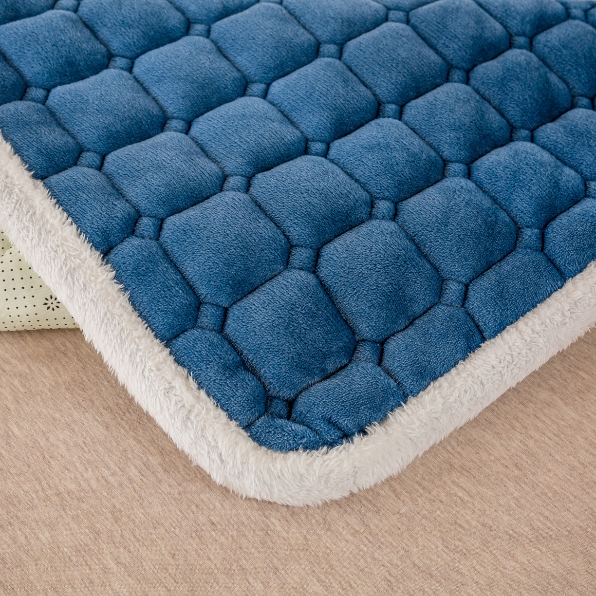 91家纺网 家纺一手货源 找家纺 眠势力 2025新款牛奶绒学生床宿舍床垫夹棉加厚床褥子秋冬季保暖床护垫 新黛兰