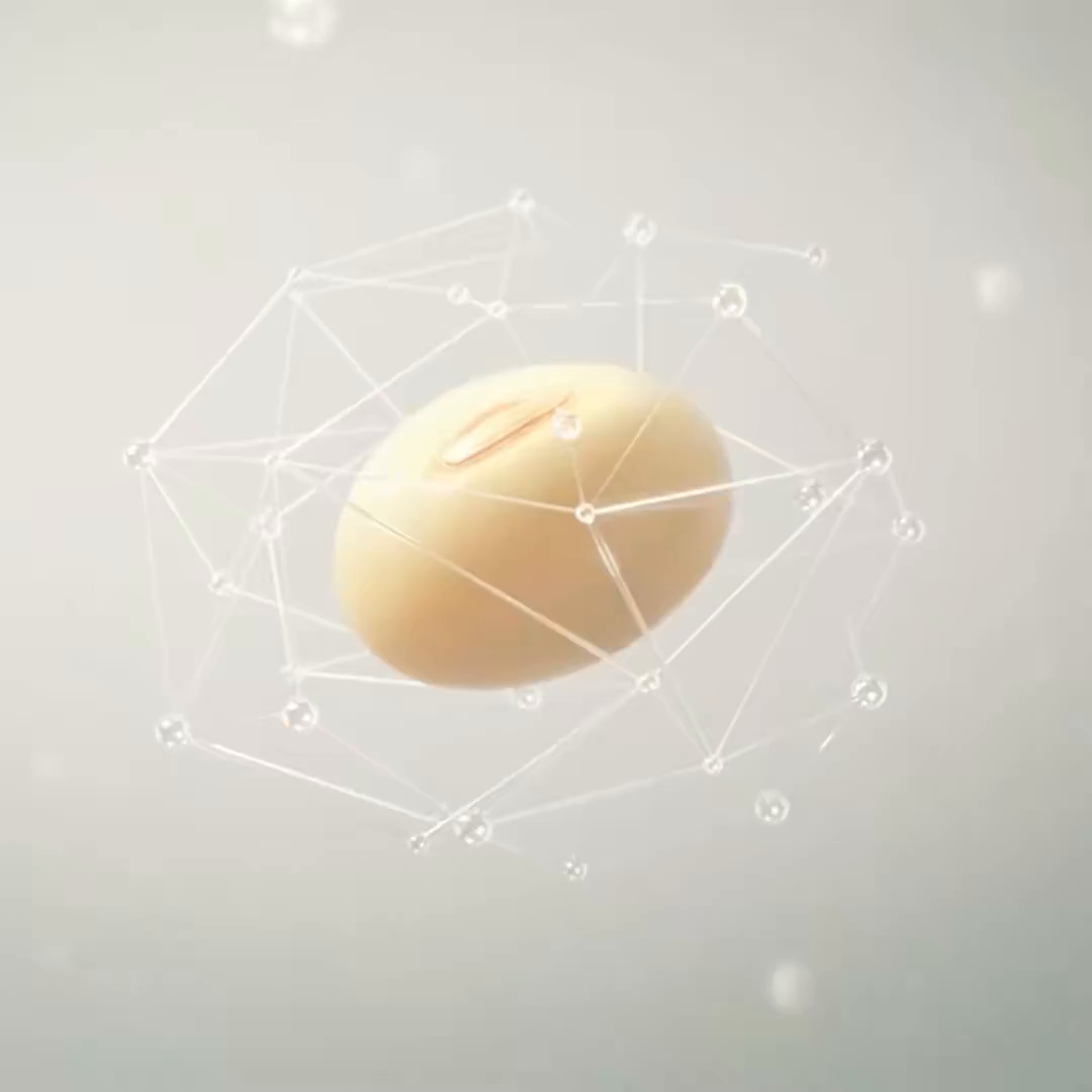 91家纺网 家纺一手货源 找家纺 （总）罗布斯 2025升级A类水洗棉立体拼边大豆纤维被二合一子母被学生宿舍被子被芯夏被空调被春秋被直播冬被含买家秀