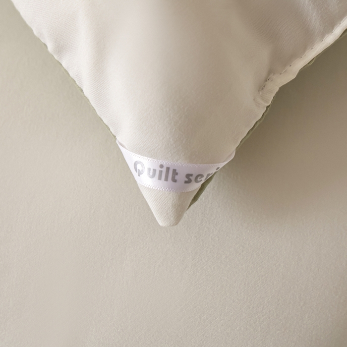 91家纺网 家纺一手货源 找家纺 U被家纺 2025新款软FU软棉奶油一体懒人被被子被芯 奶油绿