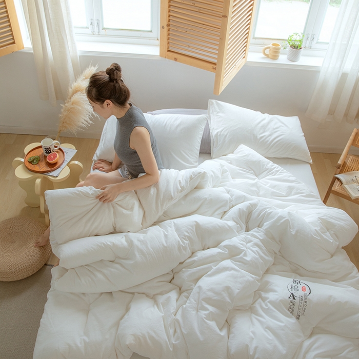 91家纺网 家纺一手货源 找家纺 VIP被业 2025新款里外新疆棉原棉被子被芯 舒心白