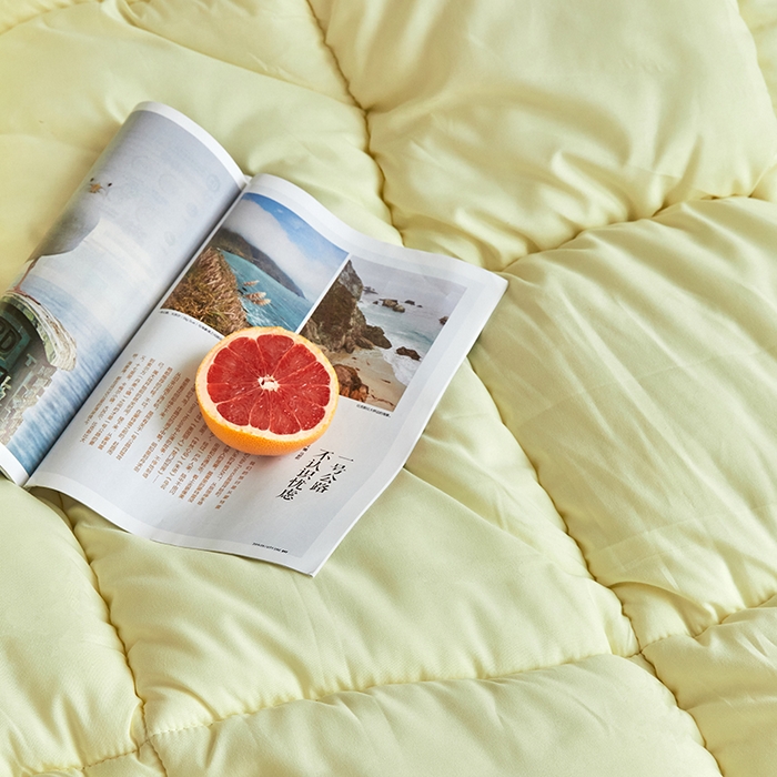 91家纺网 家纺一手货源 找家纺 VIP被业 2025新款外贸冬被被子被芯（可定做）跨境电商 黄灰