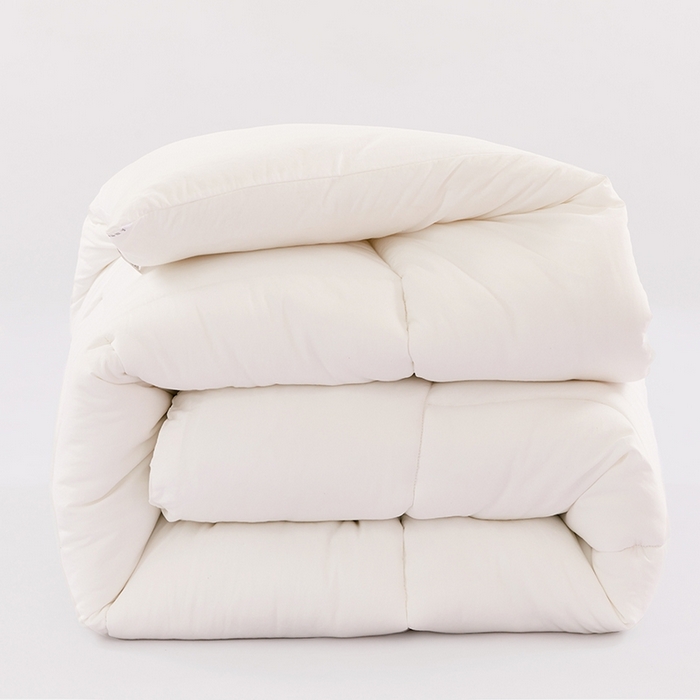 （总）VIP被业 2025新款简约纯色磨毛压被冬被被子被芯