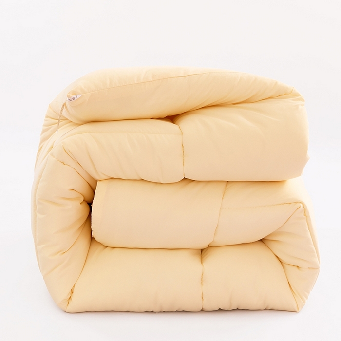 VIP被业 2025新款简约纯色磨毛压被冬被被子被芯 米黄